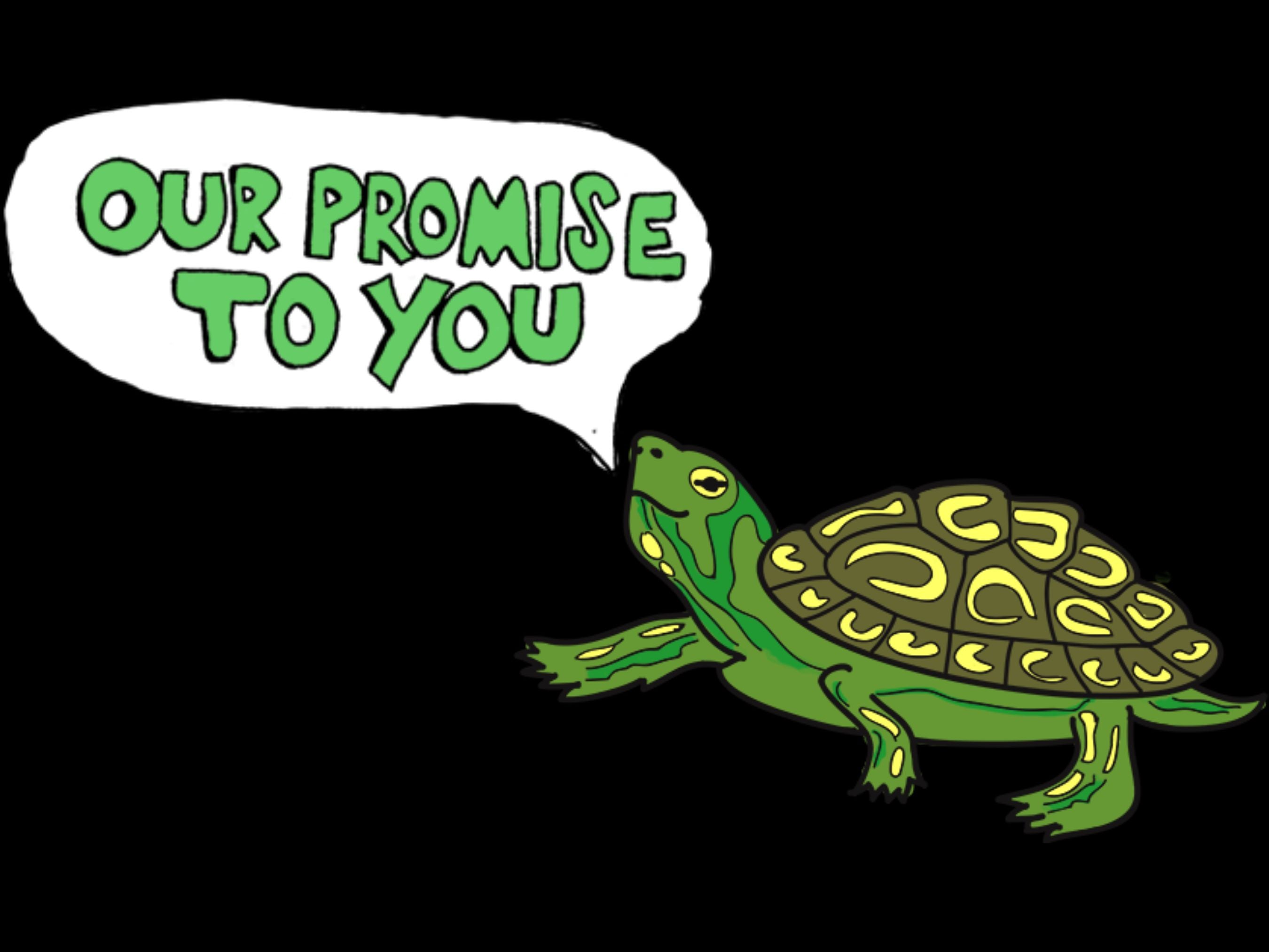 Green turtle with a speech bubble saying 'Our Promise to You' on a black background